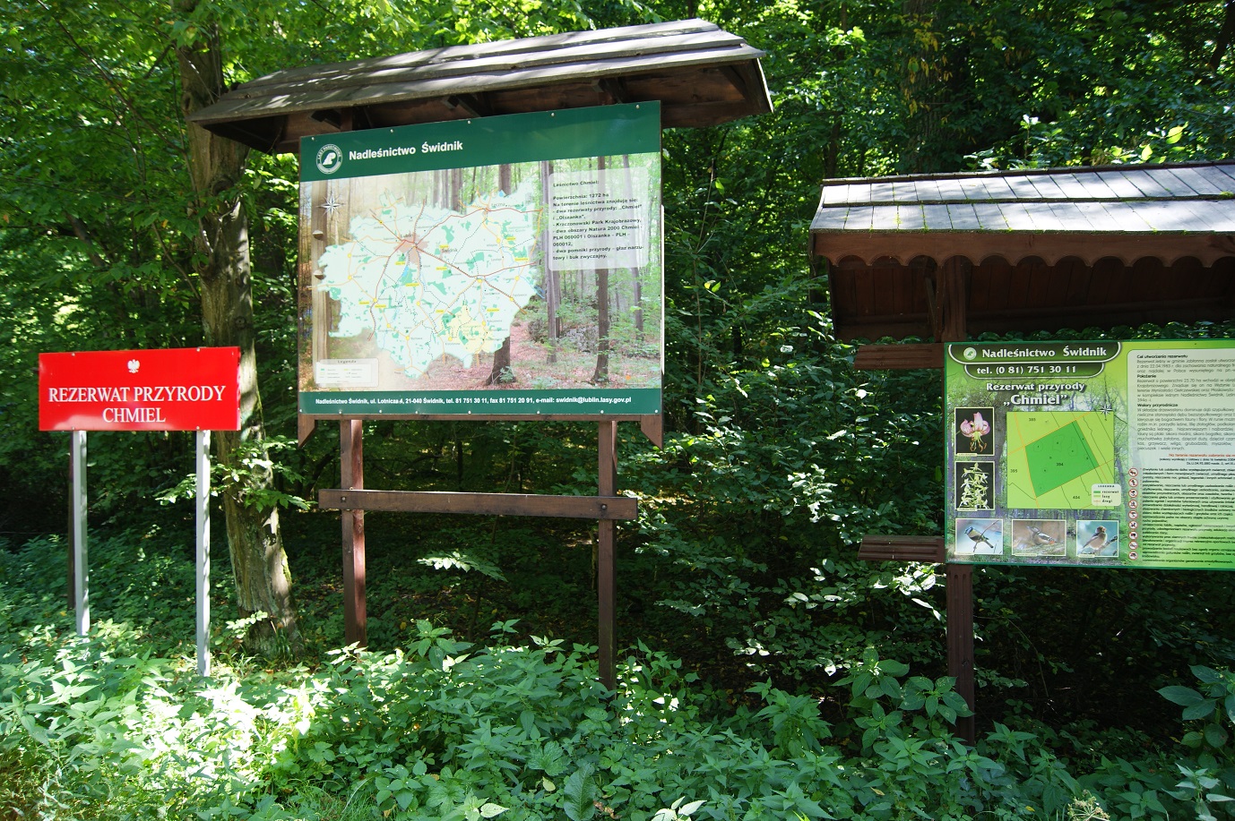 Drewniane tablice informacyjne na tle lasu, tablica Rezerwat Przyrody Chmiel