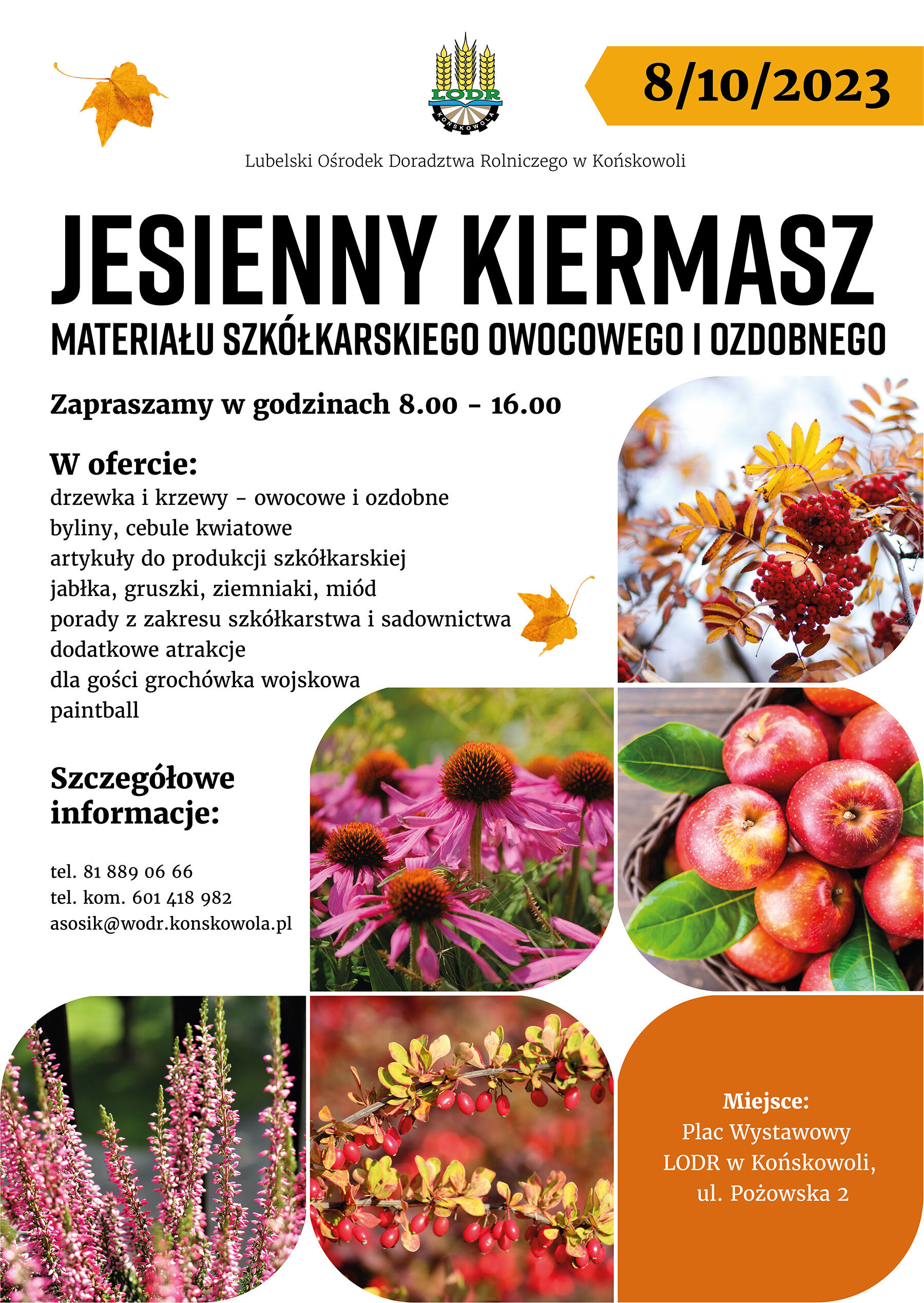 Jesienny Kiermasz LODR