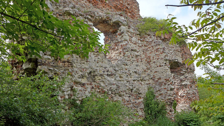 Ruiny Zamku w Bochotnicy