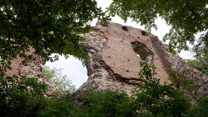 Ruiny Zamku w Bochotnicy