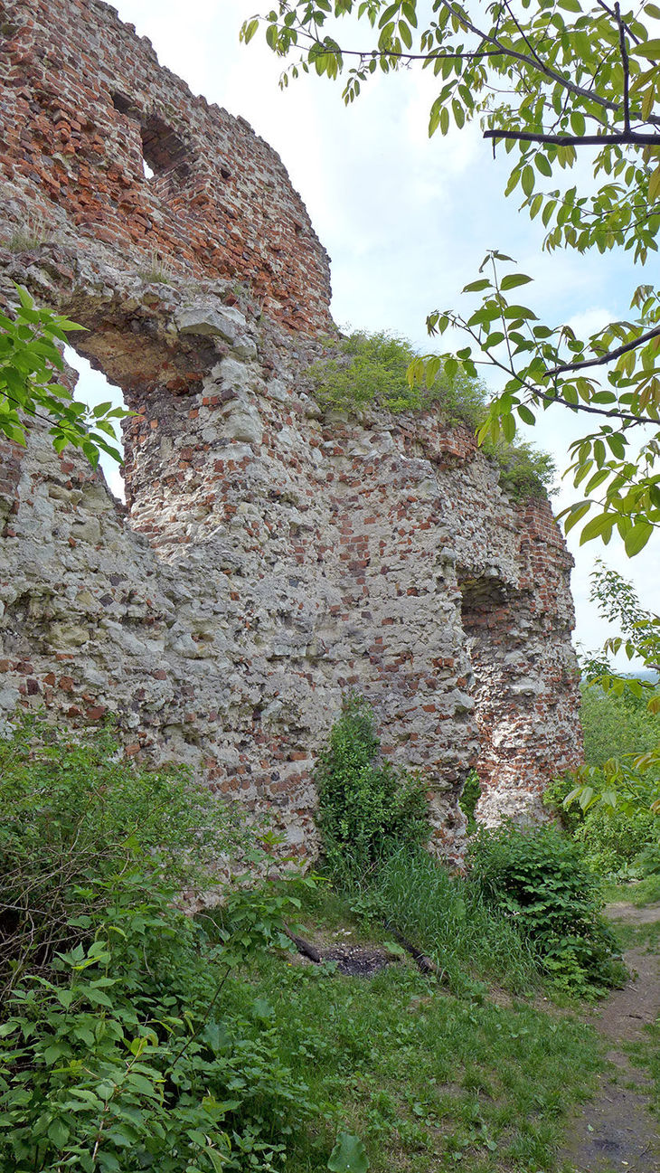 Ruiny Zamku w Bochotnicy