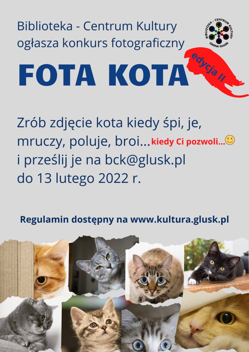 Plakat konkursu FOTA KOTA - edycja II