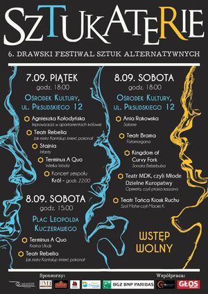 6. Drawski Festiwal Sztuk Alternatywnych