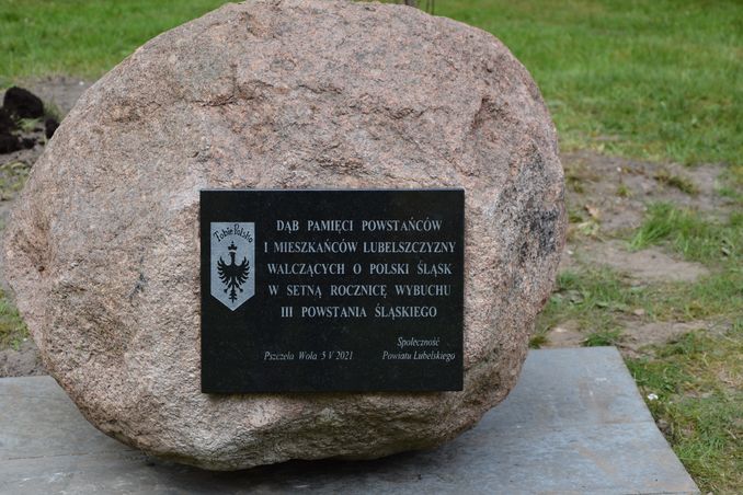 głaz z pamiątkową tablicą z napisem Dąb Pamięci Powstańców i Mieszkańców Lubelszczyzny walczących o Polski Śląsk w setną rocznicę wybuchu III Powstania Śląskiego