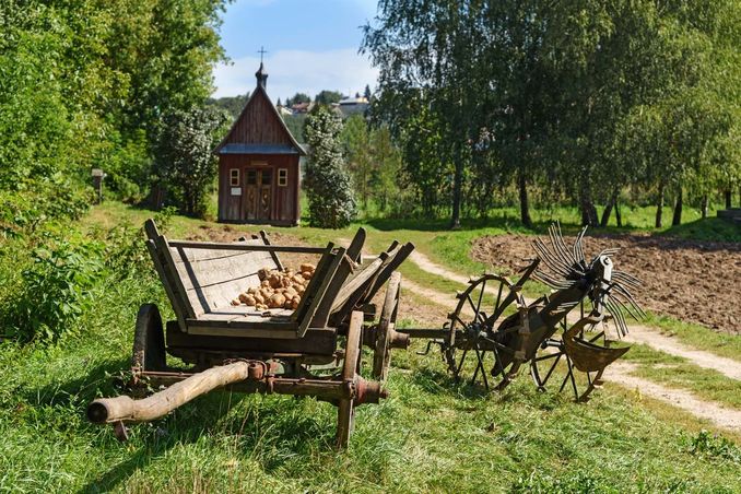 archiwalne zdjęcie z wykopek