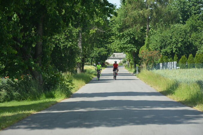 na zdjęciu znajdują się rowerzyści na trasie rowerowej