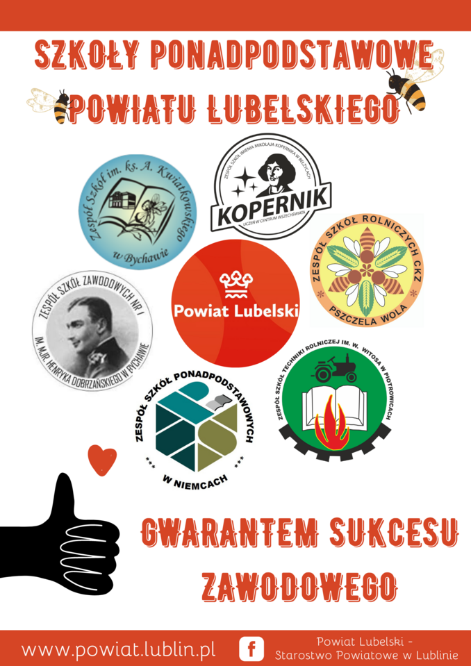 plakat z napisem: Szkoły Powiatu Lubelskiego gwarantem sukcesu zawodowego