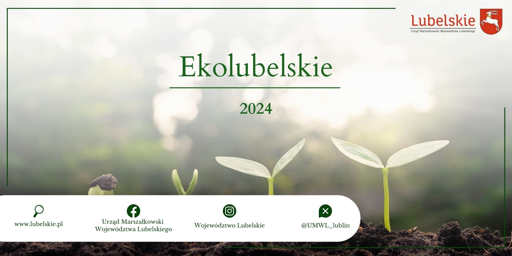 Alternatywny opis zdjęcia: Początkowe fazy wzrostu roślin ukazane na reklamie „EkoLubelskie 2024”. Z lewej strony kiełkujące nasiona, w centrum młode rośliny, w tle rozmyte drzewa i światło słoneczne.