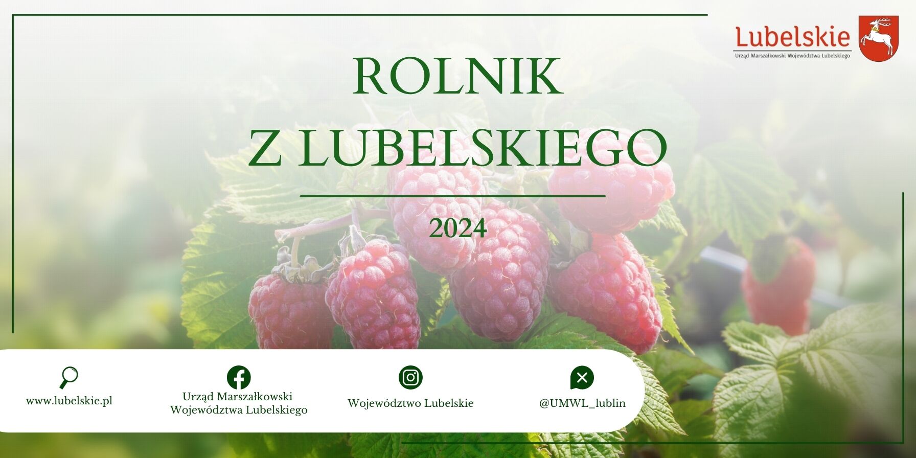 Zdjęcie przedstawia reklamową grafikę z napisem "ROLNIK Z LUBELSKIEGO 2024" umieszczoną nad zdjęciem dojrzałych czerwonych malin. Na dole znajdują się loga i adresy internetowe związane z regionem Lubelskim w Polsce.