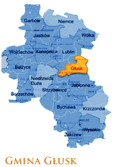 Grafika przedstawia Gmine Głusk na mapie