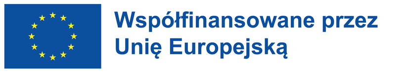 Logo flaga Uni Europejskiej i napi9s Współfinansowane przez Unię Europejską