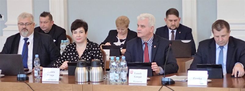 Sesja Rady Powiatu Puławskiego - Zarząd Powiatu