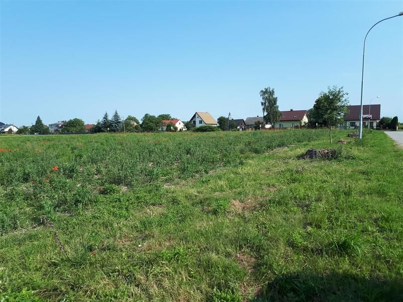 działka, trawa, zieleń