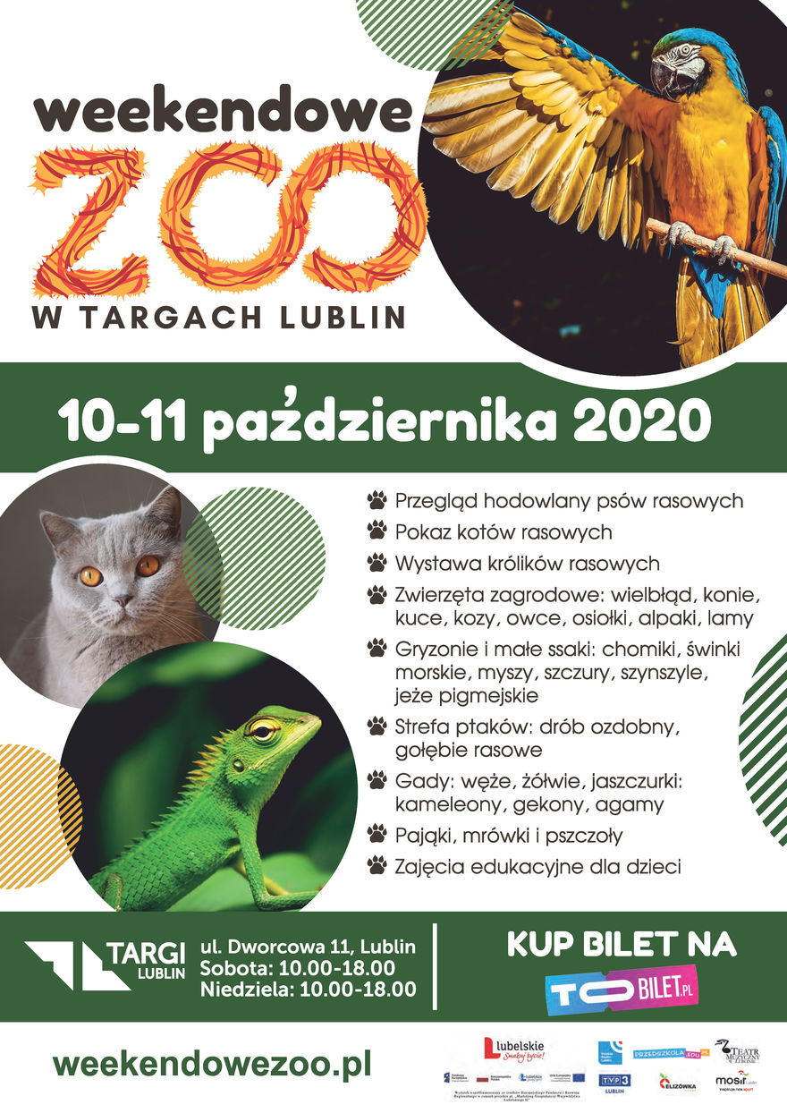 plakat wydarzenia weekendowe zoo