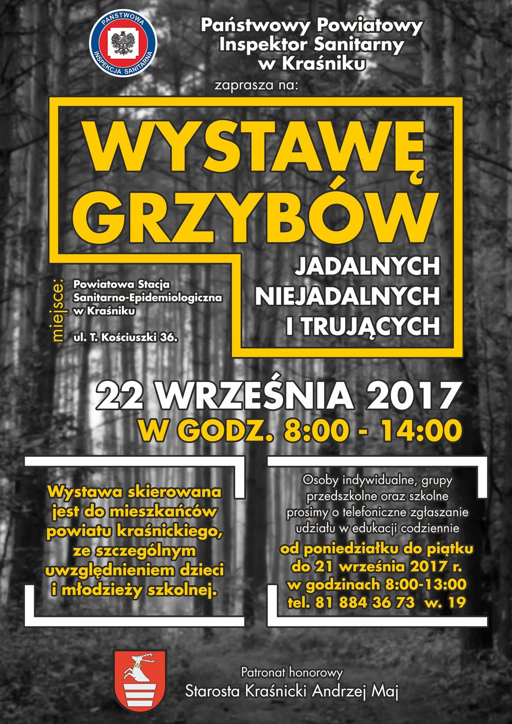 Wystawa Grzybów 2017